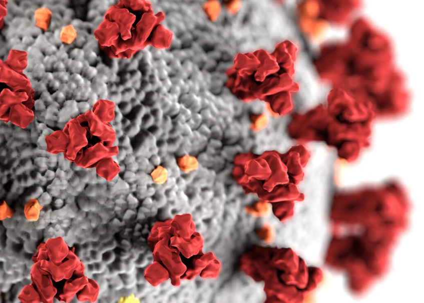 Research across an array of fields at the University of Guelph is